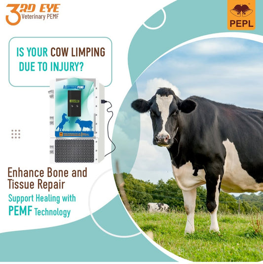 3rd Eye Beast Care V2