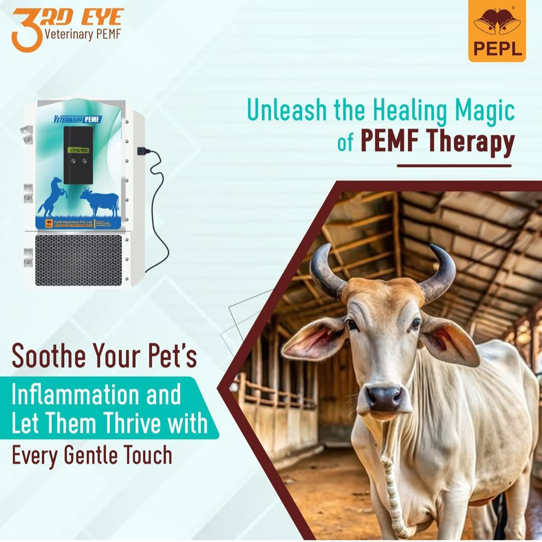 3rd Eye Beast Care V2