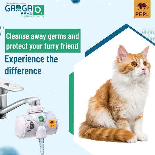 Ganga Basil Water Ozoneizer