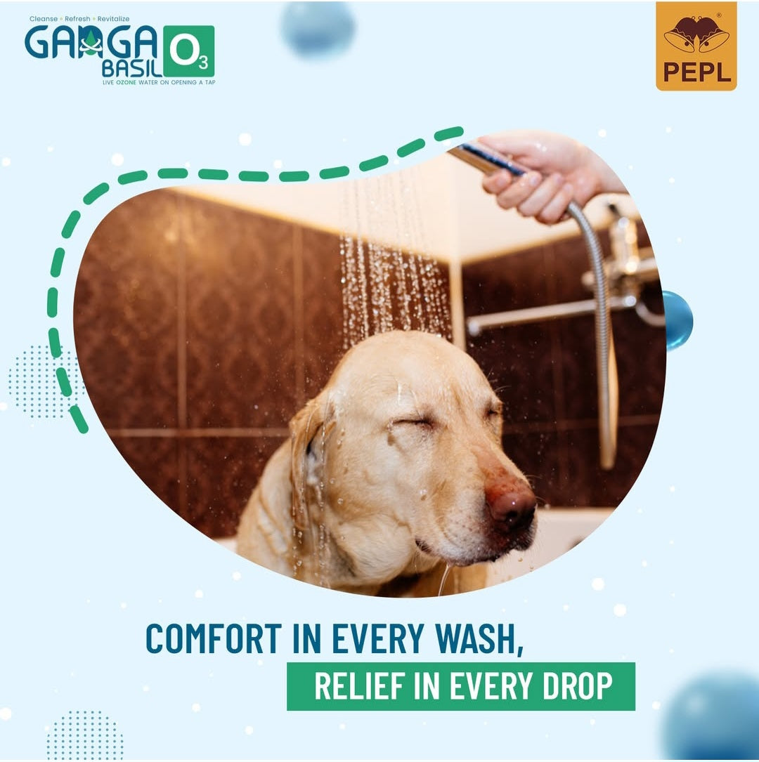 Ganga Basil Water Ozoneizer