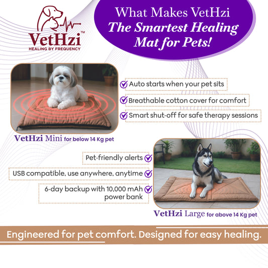 VetHzi: A frequency bases healing mat