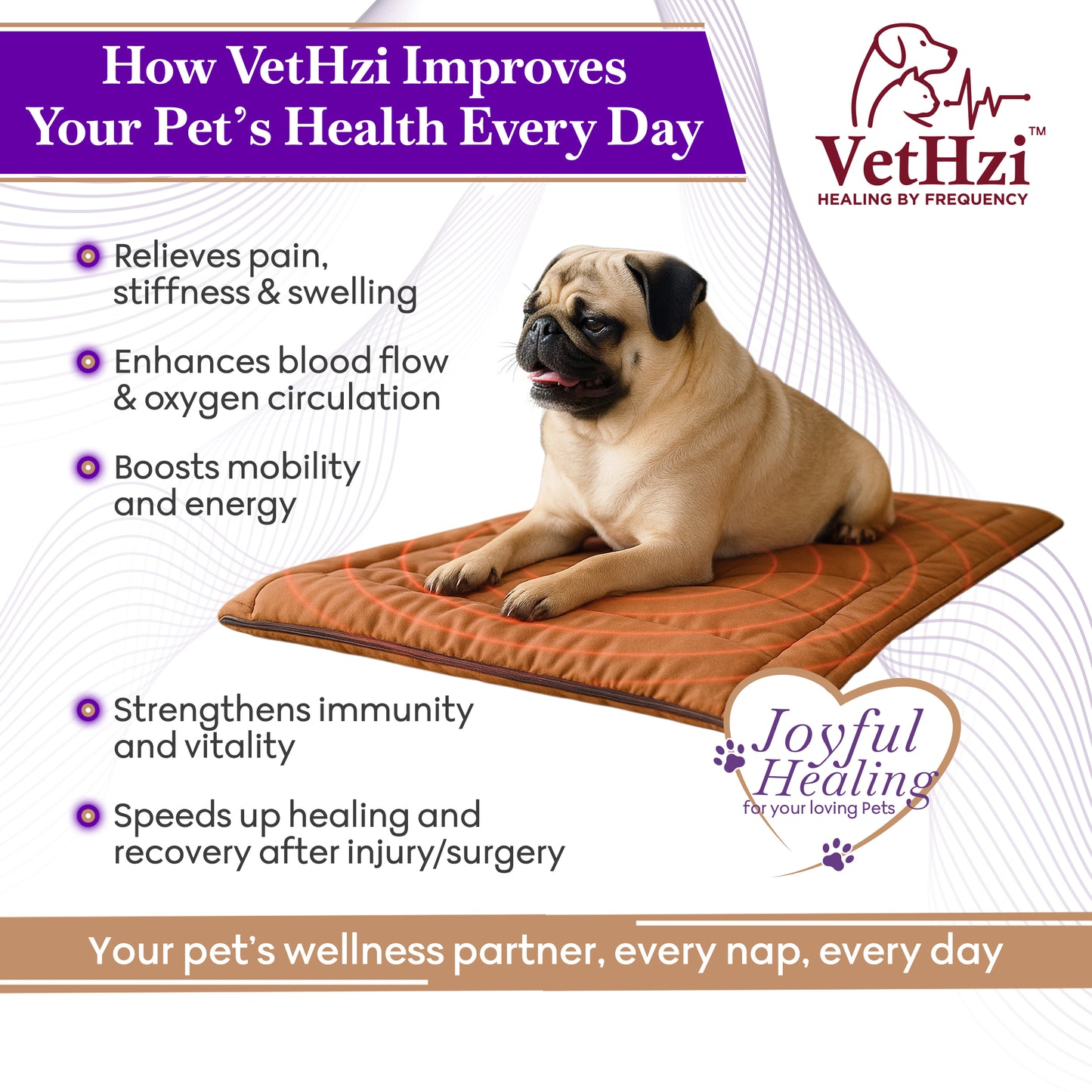 VetHzi: A frequency bases healing mat